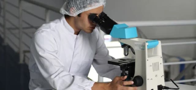 Kiedy wynaleziono mikroskop? Odkryj fascynującą historię wynalazku Kiedy wynaleziono mikroskop? Odkryj fascynującą historię wynalazku