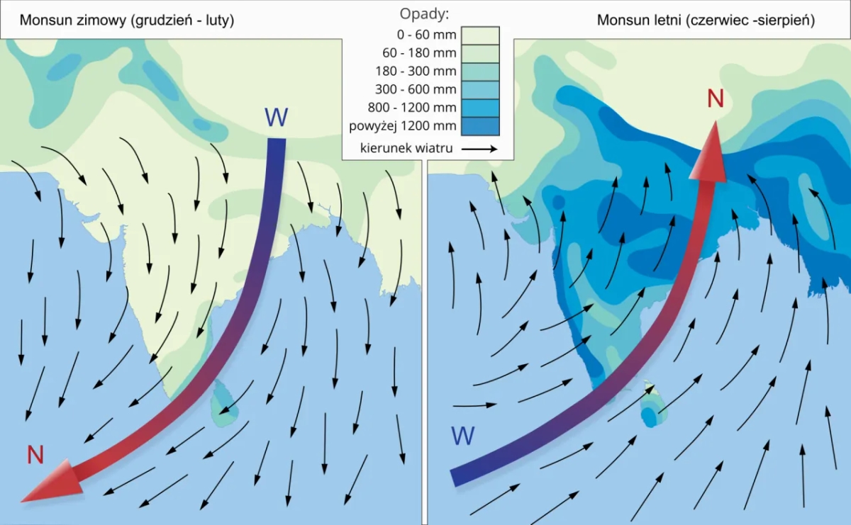 Kultura ryżu: kluczowe techniki uprawy i ich znaczenie dla świata