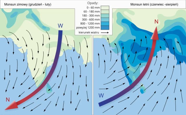 Kultura ryżu: kluczowe techniki uprawy i ich znaczenie dla świata Kultura ryżu: kluczowe techniki uprawy i ich znaczenie dla świata